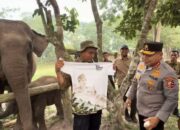 Sebelum Tinggalkan Riau, Herry Heryawan Sampaikan Pesan Menyentuh soal Gajah