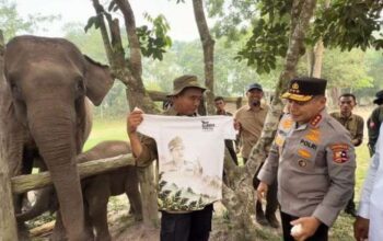 Sebelum Tinggalkan Riau, Herry Heryawan Sampaikan Pesan Menyentuh soal Gajah