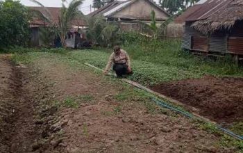 Dukung Asta Cita Presiden, Kapolsek KSKP Ipda Parna Bonar Tua Simarmata Dorong Warga Perkuat Ketahanan Pangan