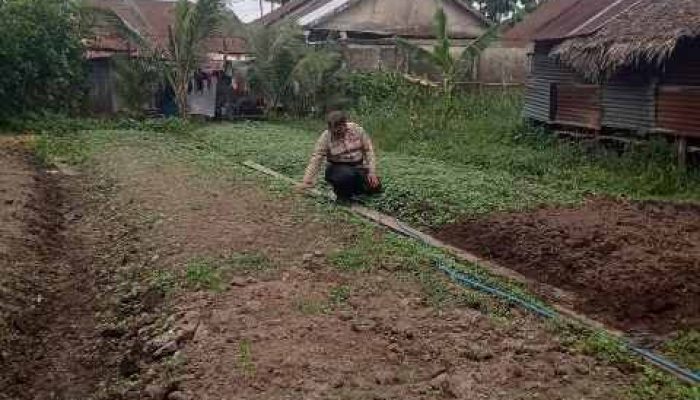 Dukung Asta Cita Presiden, Kapolsek KSKP Ipda Parna Bonar Tua Simarmata Dorong Warga Perkuat Ketahanan Pangan