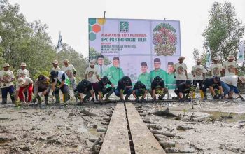 Mafirion: Menjaga Mangrove Berarti Menyelamatkan Kehidupan Masyarakat Pesisir