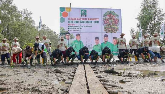 Mafirion: Menjaga Mangrove Berarti Menyelamatkan Kehidupan Masyarakat Pesisir